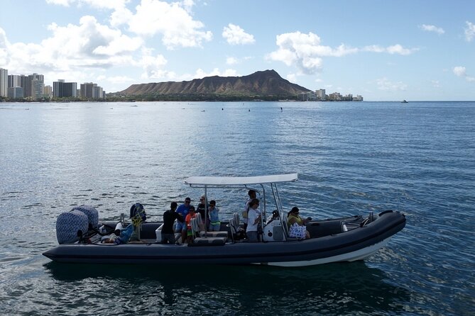 Turtle Canyon Snorkel: Semi Private Boat Tour - Price and value: what $109 buys you, and what you might pay extra for