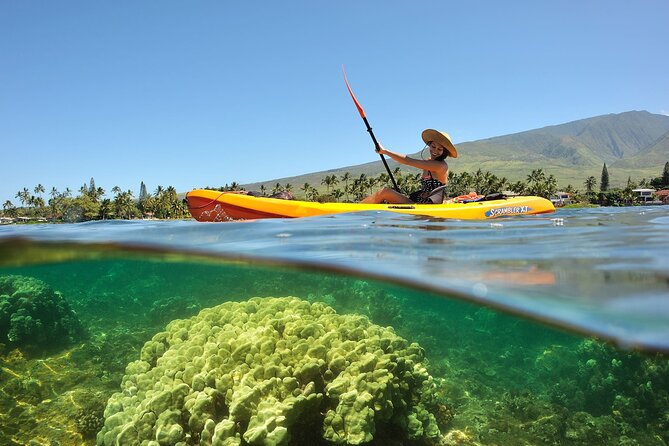 Turtle Reef Kayak Tour of Makena, Maui - Single vs double kayaks: choosing the right setup