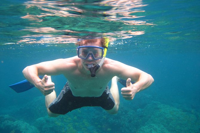 Two Reef Snorkel Trip-See Captain Cook Monument & Sea Caves - The RHIB Boat Experience, and Why It Matters for Snorkeling