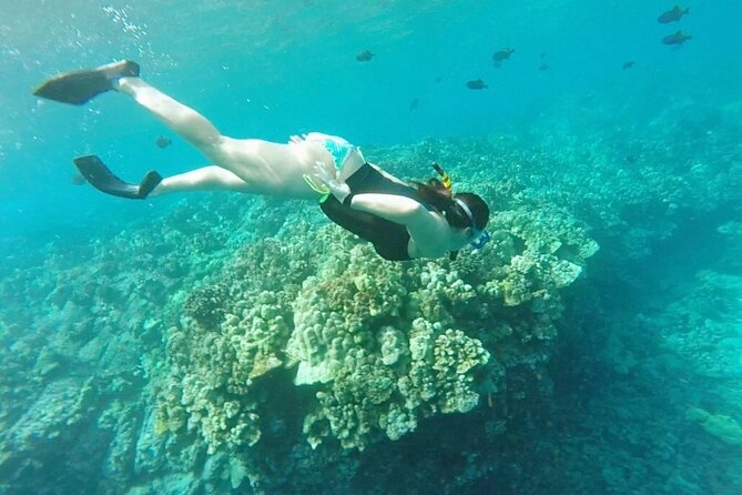 Two Reef Snorkel Trip-See Captain Cook Monument & Sea Caves - Honaunau Bay and the Place of Refuge Snorkel Setup