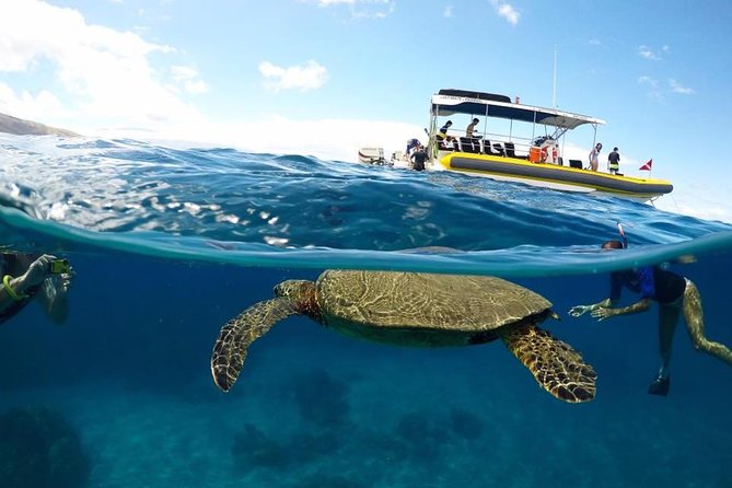 Ultimate 4 Hour Lanai Snorkel and Dolphin Encounter - Key things I’d zoom in on