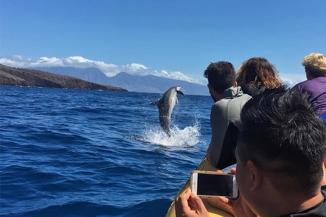 Ultimate 4 Hour Lanai Snorkel and Dolphin Encounter - Stop 1 near Lanai: turtles, coral fish, and dolphin drama