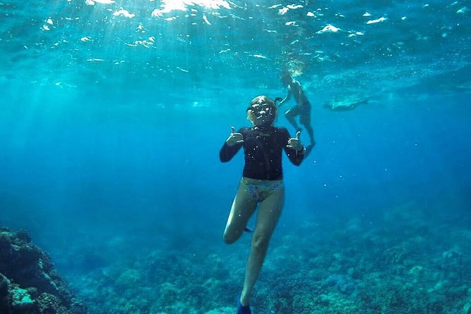 Ultimate 4 Hour Lanai Snorkel and Dolphin Encounter - Stop 2 back by Maui: the reef that tends to bring sharks