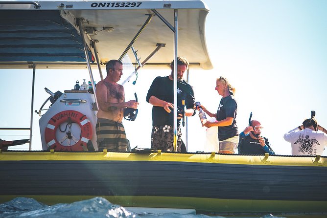 Ultimate 4 Hour Lanai Snorkel and Dolphin Encounter - Boat ride pace, group size, and why it feels easier