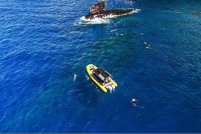 Ultimate 4 Hour Lanai Snorkel and Dolphin Encounter - Snacks, drinks, and what to bring for a 4-hour ocean day