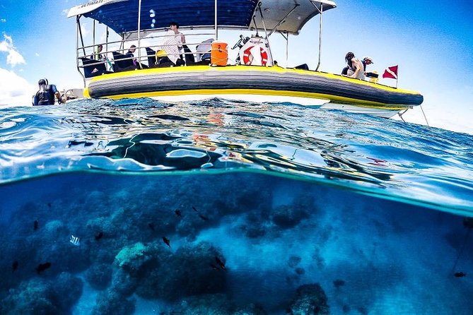 Ultimate 4 Hour Lanai Snorkel and Dolphin Encounter - Safety rules you should take seriously before you book
