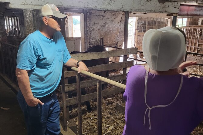 Unique Amish Immersion in Lancaster - Stop 1 in Strasburg: The Witness Filming Farm and Amish Craft Up Close