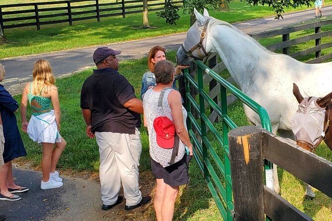 Unique Horse Farm Tours with Insider Access to Private Farms - Lexington’s horse-country advantage: you see the working side