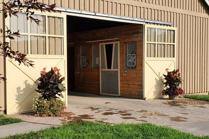 Unique Horse Farm Tours with Insider Access to Private Farms - Your guide experience: humor and farm stories that make it stick