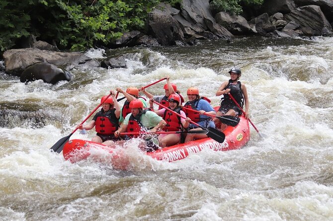 Upper Pigeon River Rafting Trip from Hartford - Rapids, surfing, and the real meaning of Class 3 and 4