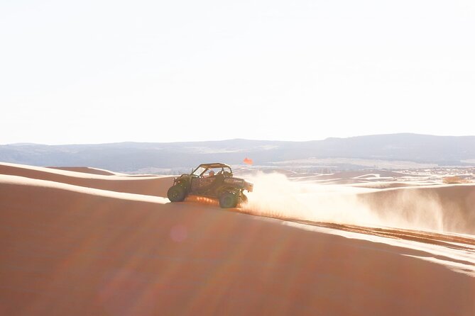 UTV Dune Cruise and Surf at Coral Pink Sand Dunes - Key Highlights You’ll Want to Plan Around