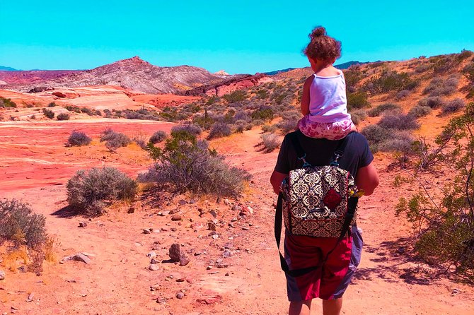 Valley of Fire State Park Day Tour from Las Vegas - Who This Trip Suits Best (and Who Might Prefer Another Plan)