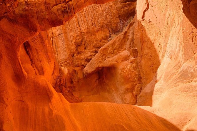 Valley of Fire Tour - Should You Book the Valley of Fire Tour?