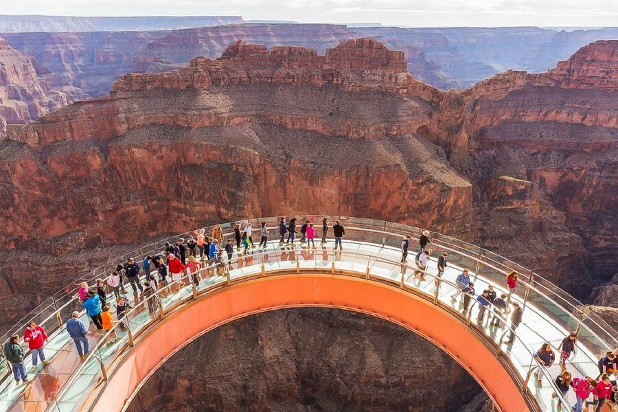 Vegas: Grand Canyon, Hoover Dam, Lunch/Skywalk Options, WiFi - Joshua tree photo stop: quick, scenic, and worth it