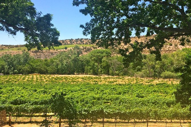 Visit 4 Wineries in Limo Party Bus-Includes Charcuterie Lunch! - Pickup timing and route reality in Sedona