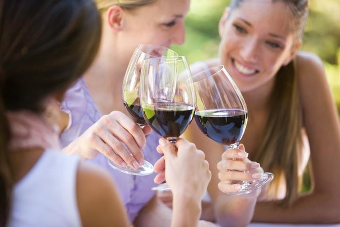 Visit 4 Wineries in Limo Party Bus-Includes Charcuterie Lunch! - Who should book this tour, and who should skip it