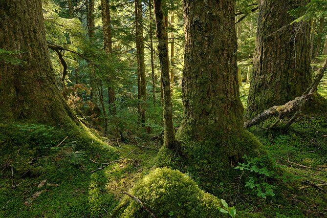 Visit Snoqualmie and Hike to Twin Falls (Transportation included) - Guide Quality: Why Jonny Makes This Trip Feel Small-Group Instead of Group-Tour