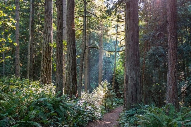 Visit Snoqualmie and Hike to Twin Falls (Transportation included) - Price and Value: Is $76.93 a Good Deal?