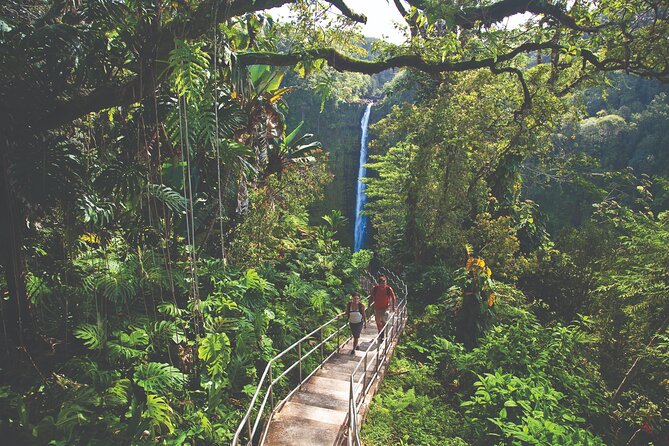 Volcano Adventure: Hilo Sightseeing w/ Optional Helicopter Tour - Banyan Drive and Hilo’s Coastline Stops That Set the Mood