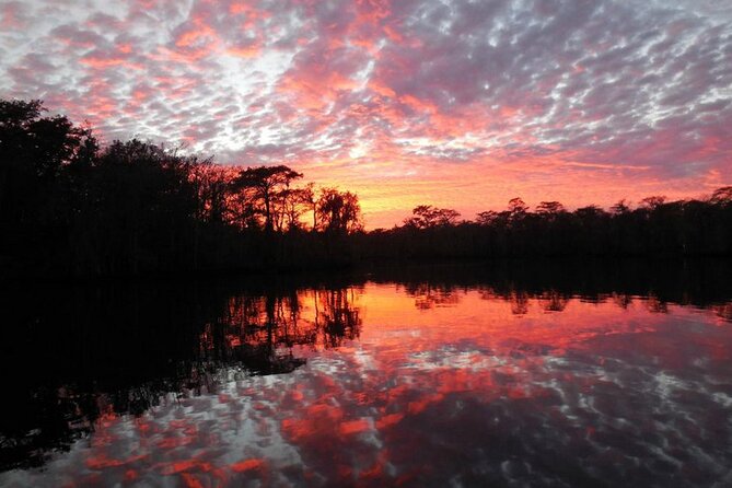 Waccamaw River Nature and Wildlife Tour - What you’ll see: birds, creek edges, and river habitat details