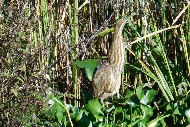 Waccamaw River Nature and Wildlife Tour - Getting there on Enterprise Rd, and why the 30-minute rule is serious