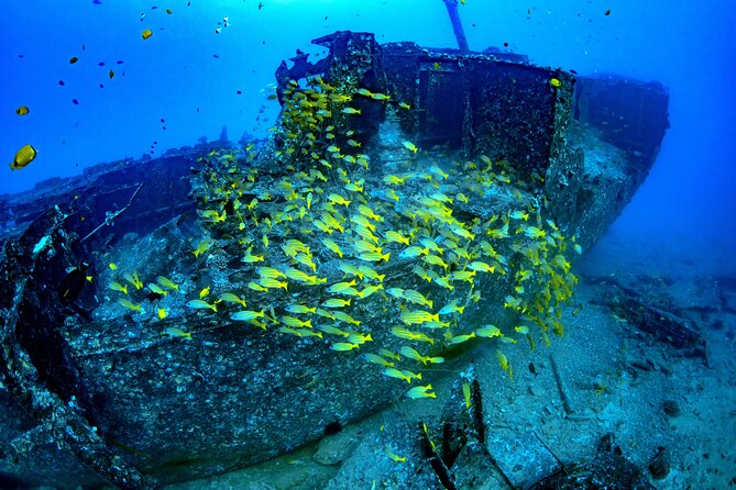 Waikiki: Atlantis Submarine Adventure - The ride quality: easy entry, possible bumps, and what to watch for