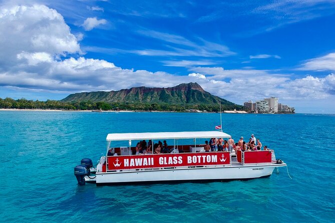 Waikiki Beach Glass Bottom Boat Cruise - Marine Life Odds: Turtles, Fish, and Seasonal Whales