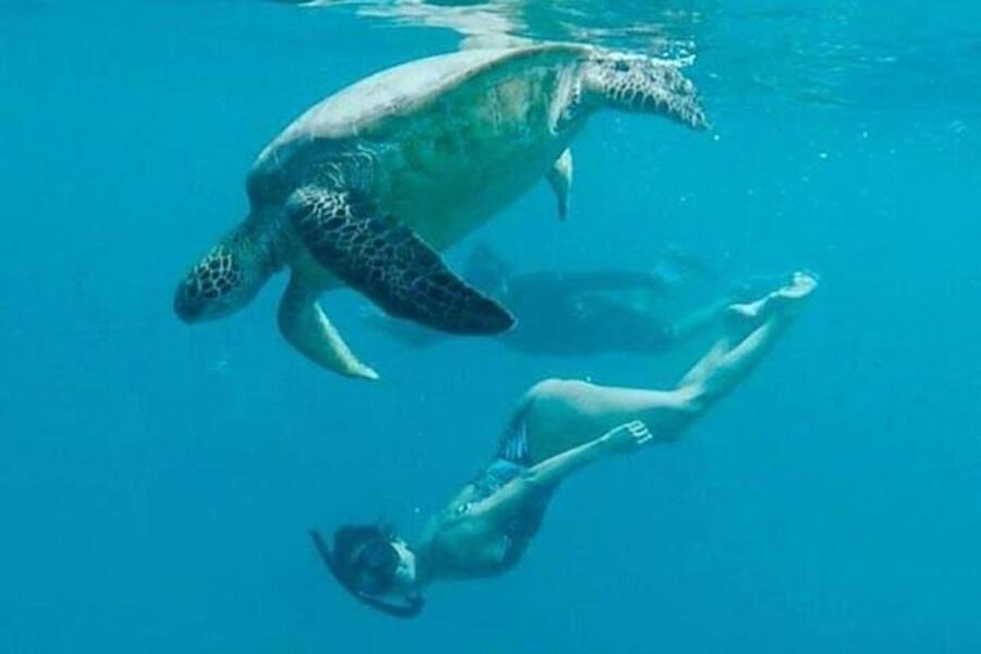 Waikiki Beach: Turtle Snorkeling and Sailing on Hāwea - Price and value: why $84 for 2.5 hours can be a smart buy