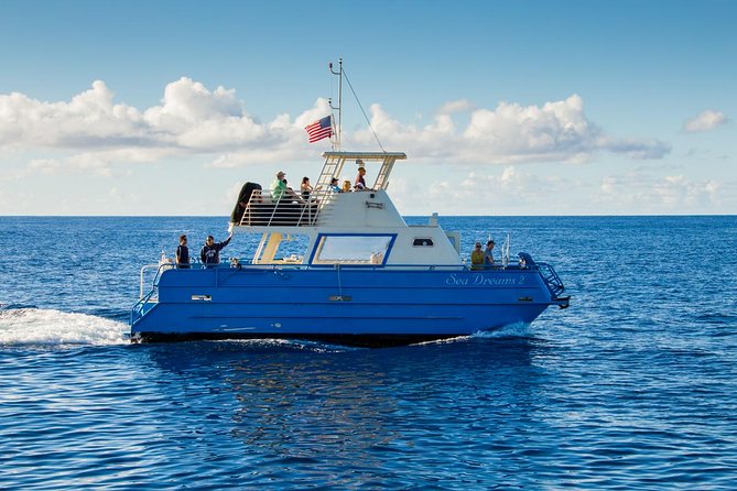 Waikiki Deluxe Catamaran Whale Watch - When the Ocean Is Rough, and When Whales Don’t Show