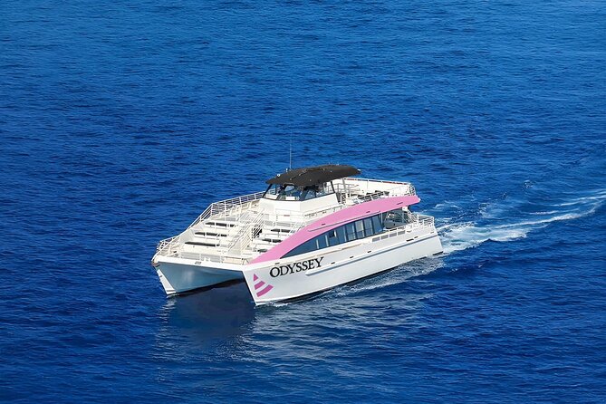 Waikiki: Friday Night Fireworks Catamaran Cruise - Snacks and drinks: what you get, what you should plan for