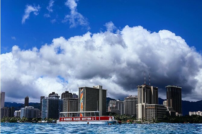 Waikiki Glass Bottom Boat Cruise - Wildlife Odds: Dolphins, Sea Turtles, and Seasonal Whales