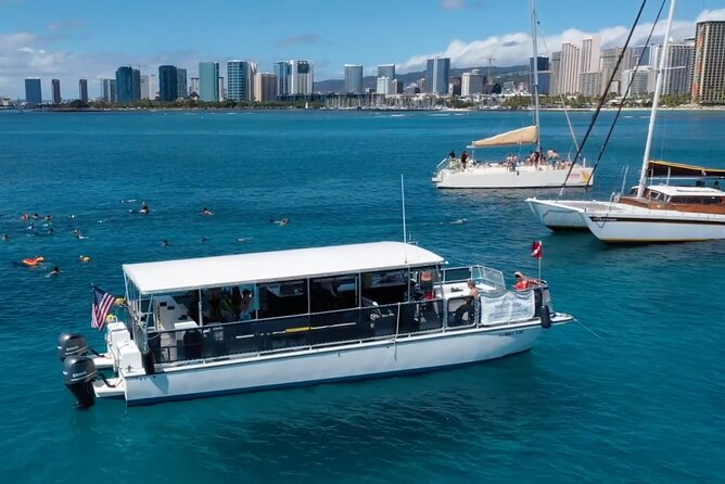 Waikiki Green Sea Turtle Snorkeling Tour - Boat Excursion - Turtle Canyon snorkeling: honu, reef fish, and what to aim for