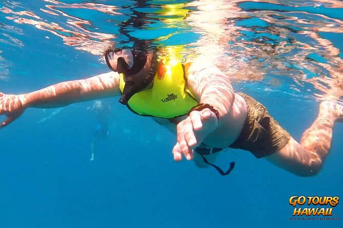 Waikiki Green Sea Turtle Snorkeling Tour - Boat Excursion - Diamond Head views while you snorkel and float