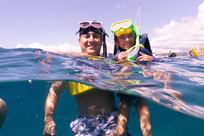 Waikiki Green Sea Turtle Snorkeling Tour - Boat Excursion - Who this tour fits best, and who should think twice