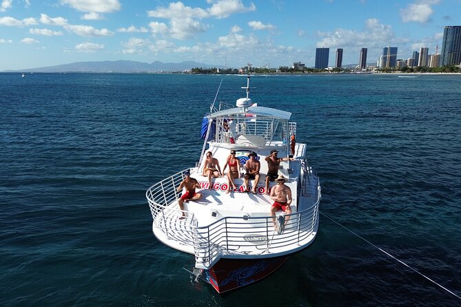 Waikiki, Hawaii: Deluxe Snorkel and Wildlife Cruise - Wildlife spotting without wishful thinking