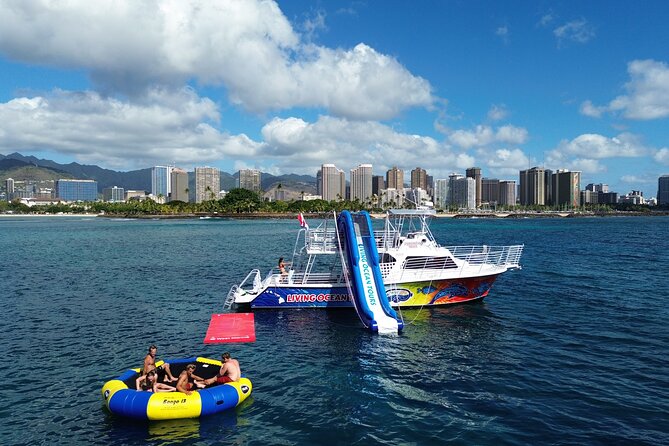 Waikiki, Hawaii: Deluxe Snorkel and Wildlife Cruise - Getting to Living Ocean Tours at Ala Moana (and why it’s easier than it sounds)