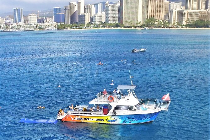 Waikiki, Hawaii: Turtle Canyon Snorkel Excursion - Where to start: Living Ocean Tours check-in and the Ala Moana dock area