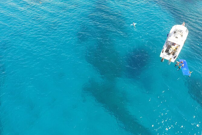 Waikiki, Hawaii: Turtle Canyon Snorkel Excursion - Safety, comfort, and boat basics when you’re snorkeling Waikiki style
