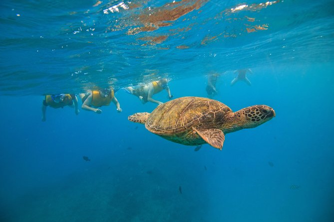 Waikiki, Hawaii: Turtle Canyon Snorkel Excursion - What the crew does well: the names you will hear and why people praise them