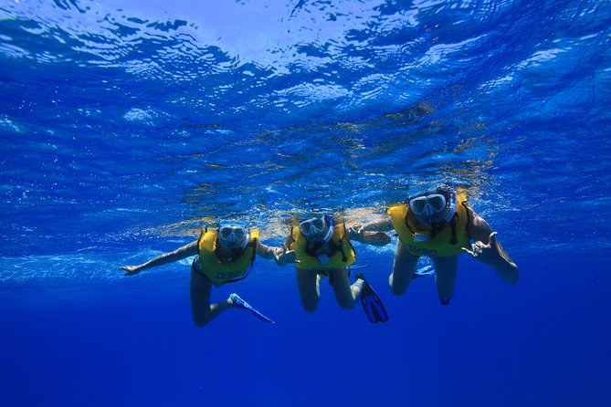 Waikiki, Hawaii: Turtle Canyon Snorkel Excursion - Reality check: crowds, cloudy water, and why turtle counts can vary