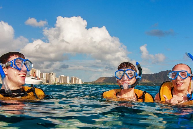 Waikiki, Hawaii: Turtle Canyon Snorkel Excursion - Itinerary in plain language: how the two hours usually play out