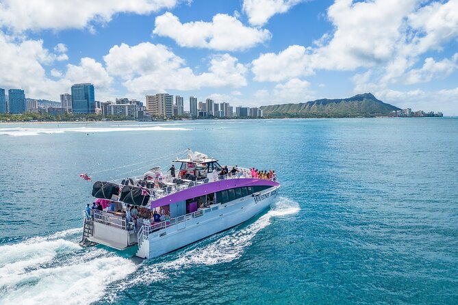 Waikiki, Oahu 2-Hour Whale Watching: Guaranteed Sightings - Waikiki Winter Is Whale Season, Not Guesswork