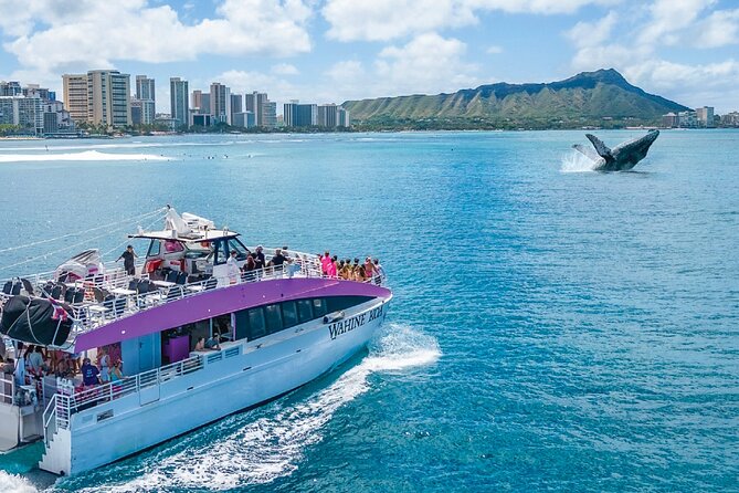 Waikiki, Oahu 2-Hour Whale Watching: Guaranteed Sightings - Price, Value, and What You Get for $45.31