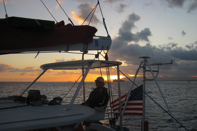Waikiki Signature Sunset Catamaran Sail - Leaving Waikiki: The Coast, The Clues, and the Marine-Life Hunt