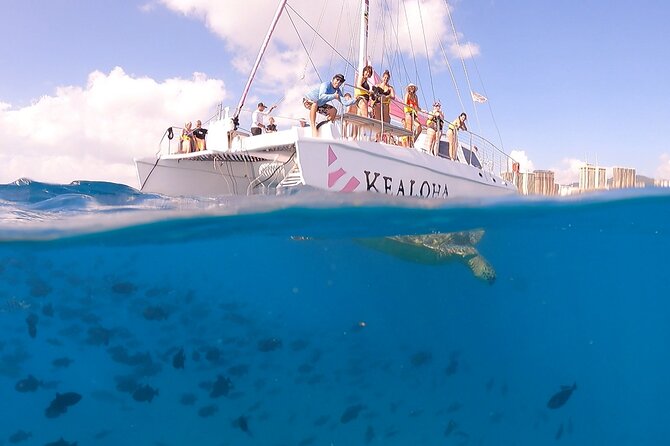 Waikiki: Turtle Canyon Snorkel - Gear, safety, and the basic-swimming reality check