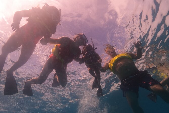 Waikiki: Turtle Canyon Snorkel - Who should book this Turtle Canyon snorkel