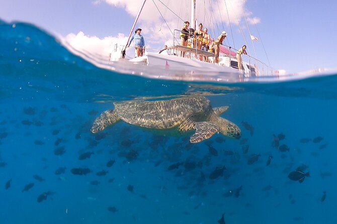 Waikiki: Turtle Canyon Snorkel - Booking tips that actually help on this trip