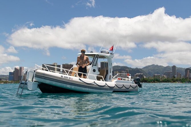 Waikiki Turtle Canyon Snorkel: Turtles Guaranteed - Whales, dolphins, and the best kind of surprise