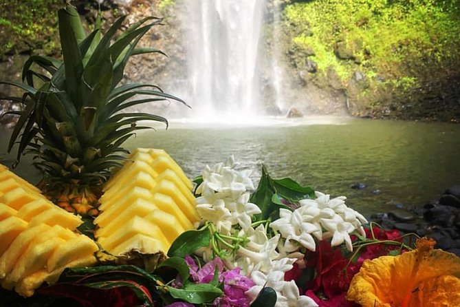 Wailua River & Waterfalls Kayak Tour: Expert-Guided Adventure - Swimming and lunch near the 110-foot waterfall