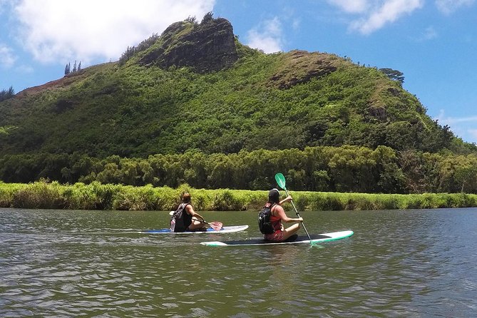 Wailua River & Waterfalls Kayak Tour: Expert-Guided Adventure - Timing, pacing, and why going early helps